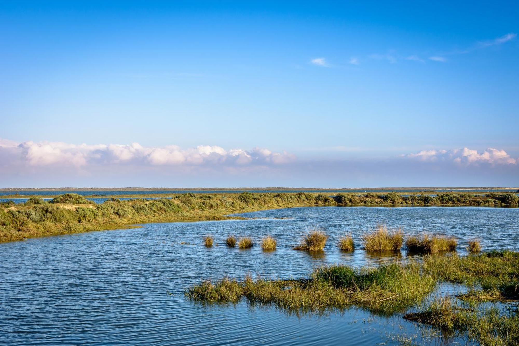 Pedras D'El Rei Otel Tavira Dış mekan fotoğraf